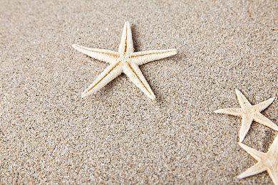 《企鹅帮手》Steam抢先体验 南极美景企鹅互动